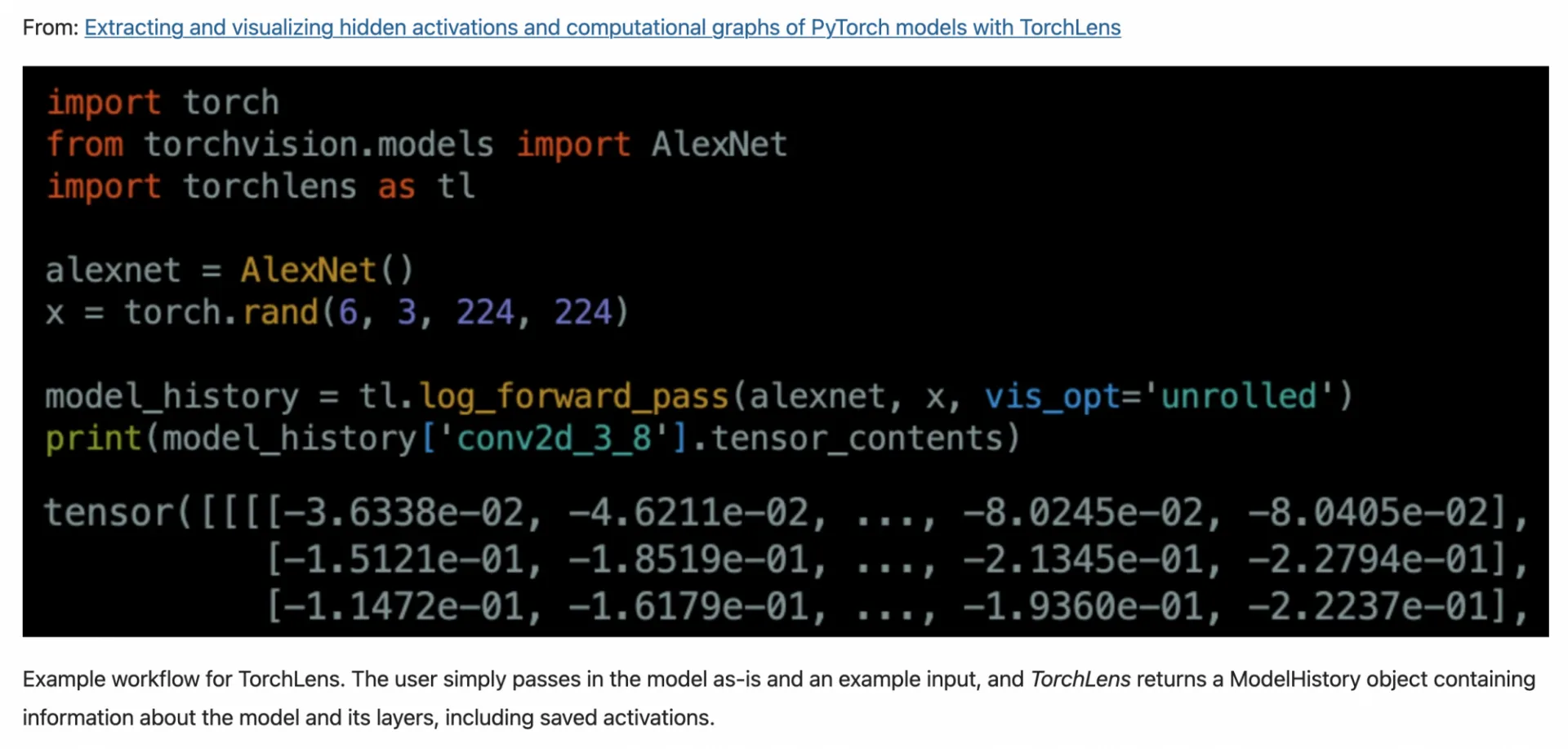 Example workflow for TorchLens